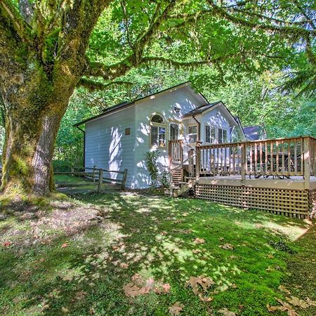 Elk Hideaway Ashford Cottage With Hot Tub! Zewnętrze zdjęcie
