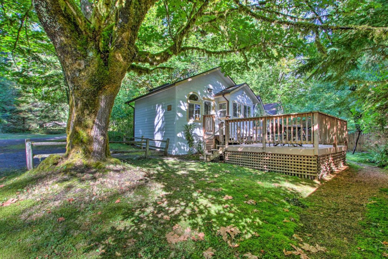 Elk Hideaway Ashford Cottage With Hot Tub! Zewnętrze zdjęcie