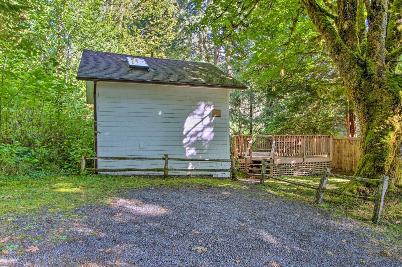 Elk Hideaway Ashford Cottage With Hot Tub! Zewnętrze zdjęcie